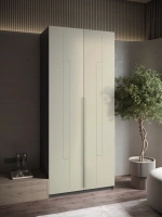 Шкаф распашной 100х50х220 двухдверный Mirage 2