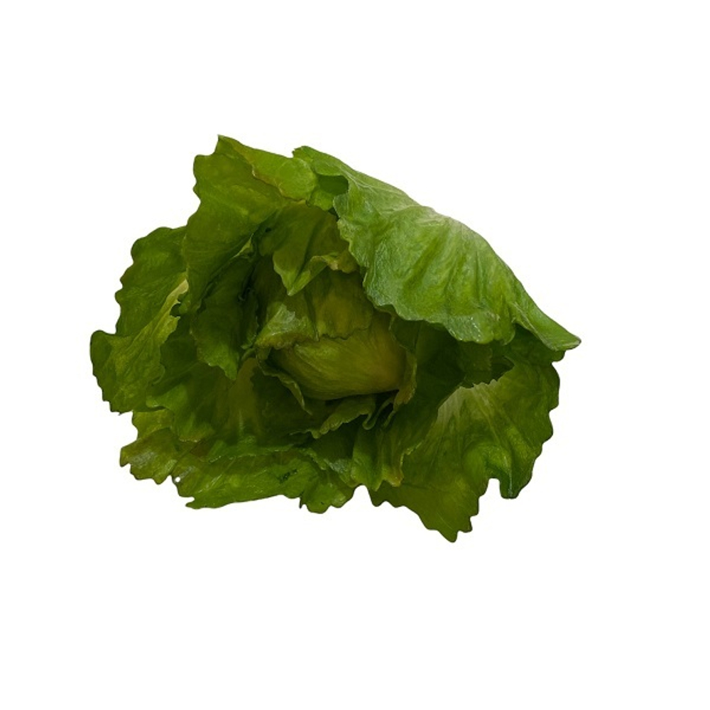 Лист салатовый