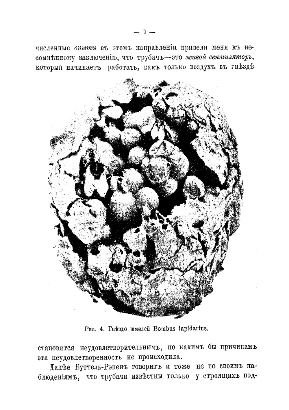 Что такое инстинкт | В.А. Вагнер