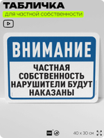 Табличка для частной территории "Частная собственность, нарушители будут наказаны", на дом, для участка, организаций, предупреждающая, 40х30 см, Silver Plane x Айдентика Технолоджи