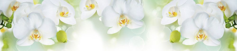 Стеновая панель 2800*610*6 (SP-213 глянец)