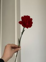 Гвоздика в красном оттенке