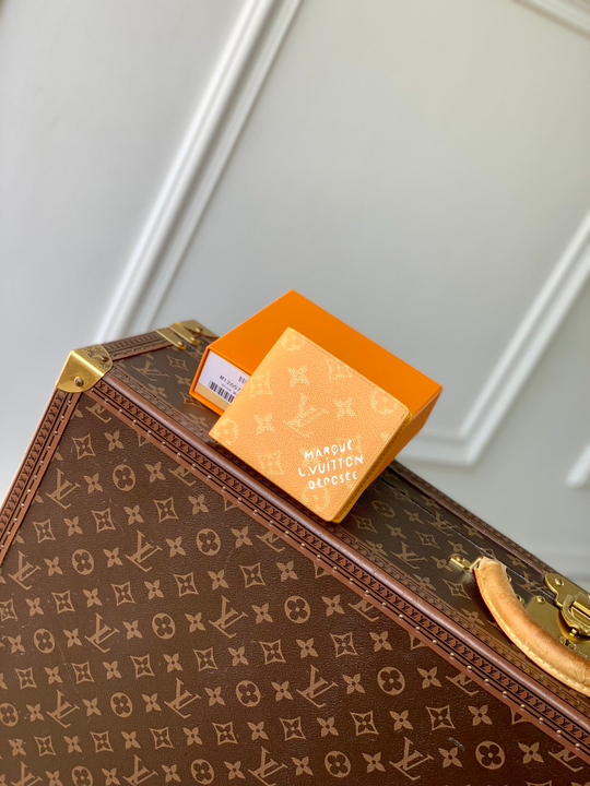 Louis Vuitton Multiple Wallet