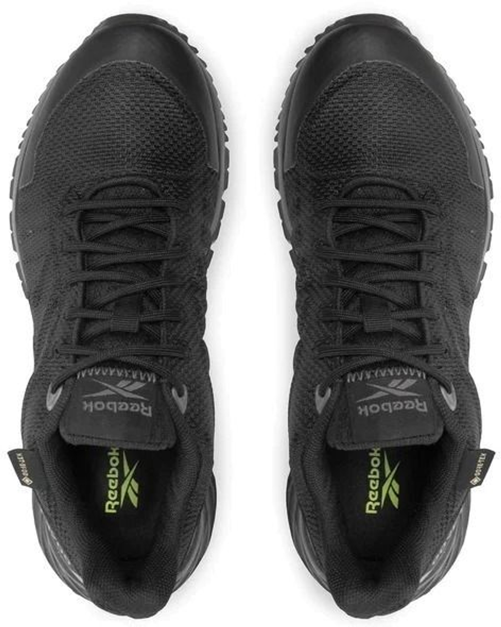 Кроссовки Reebok ASTRORIDE TRAIL GTX BLACK/PUGRY4/WILDLI черно-серый