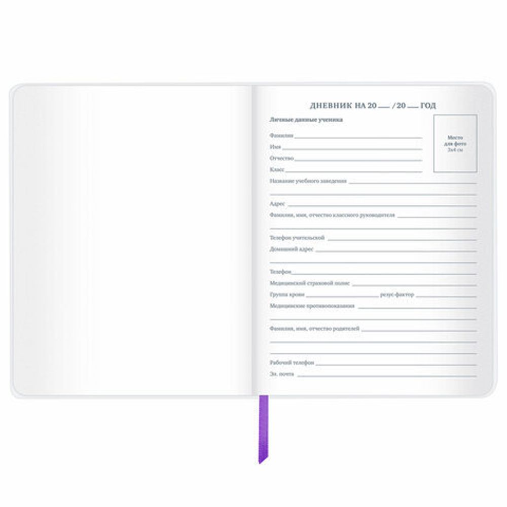 Дневник 1-11 класс 48 л., кожзам (гибкая), термотиснение, фольга, BRAUBERG, "Panda", 106171