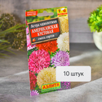 АСТРА Американская кустовая Аэлита Ц (10шт)