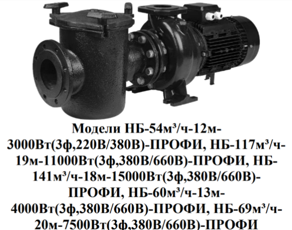 Насос для плавательных бассейнов "Vodotok" модель НБ-141м³/ч-18м-15000Вт(3ф,380В/660В)-ПРОФИ Насос для плавательных бассейнов "Vodotok" модель НБ-141м³/ч-18м-15000Вт(3ф,380В/660В)-ПРОФИ