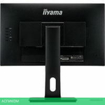 Монитор Iiyama ProLite XUB2493HSU-B1