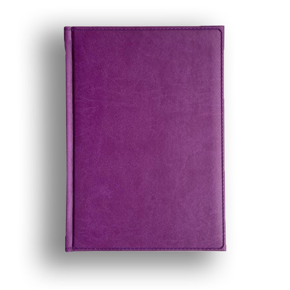Ежедневник Print Синий