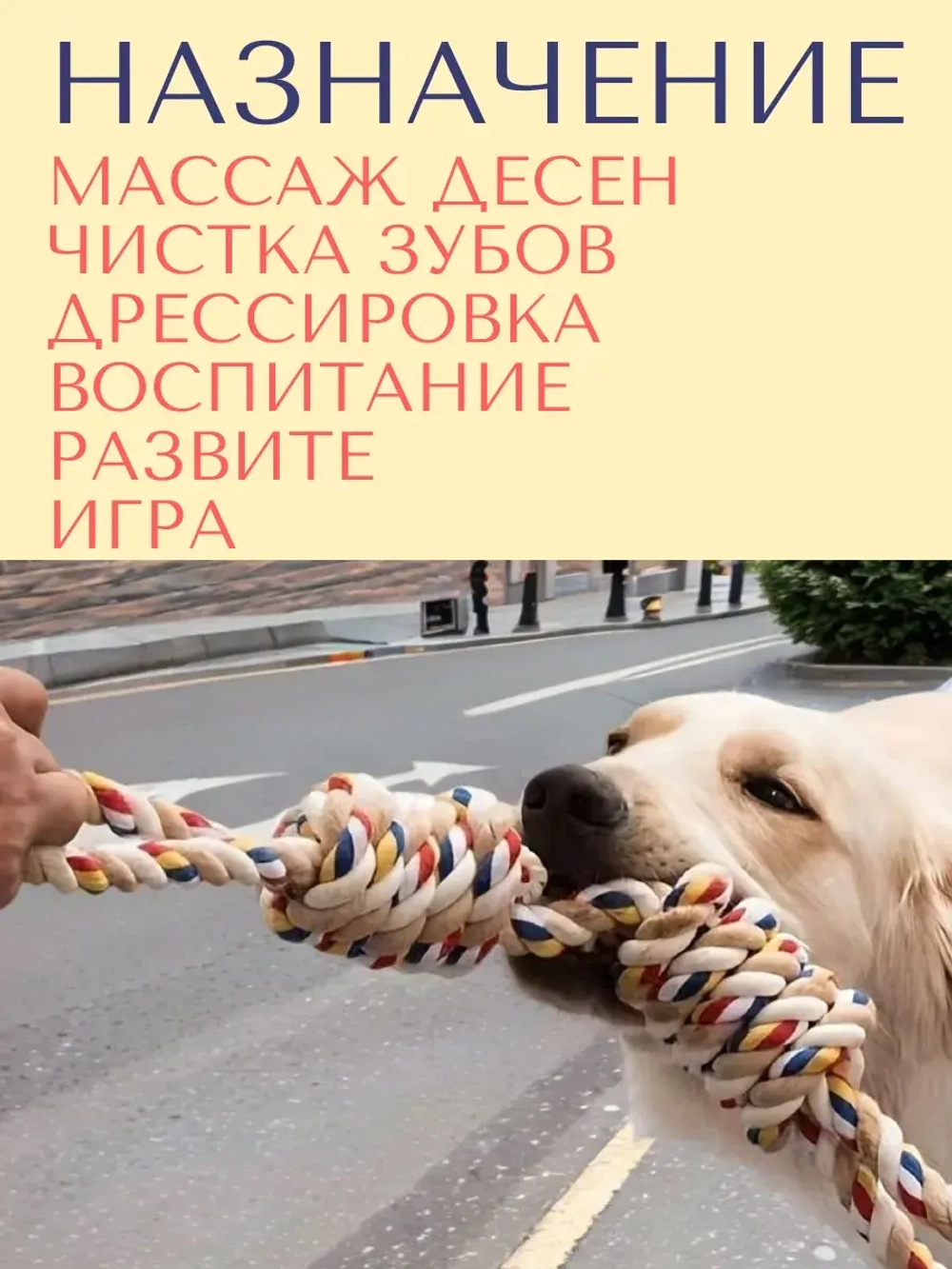 Прочный канат для собак крупных - средних пород - 55 см