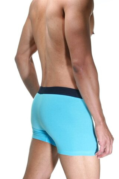 Голубые хлопковые мужские трусы-боксеры (Размер: L) (Цвет: голубой)