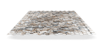 Профлист С8 с покрытием Ecosteel Matt