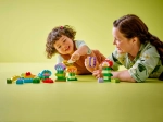 Конструктор LEGO Duplo 10444 Креативный сад и цветы