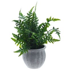 GAEM Цветочная композиция, L12,5 W12,5 H30 см