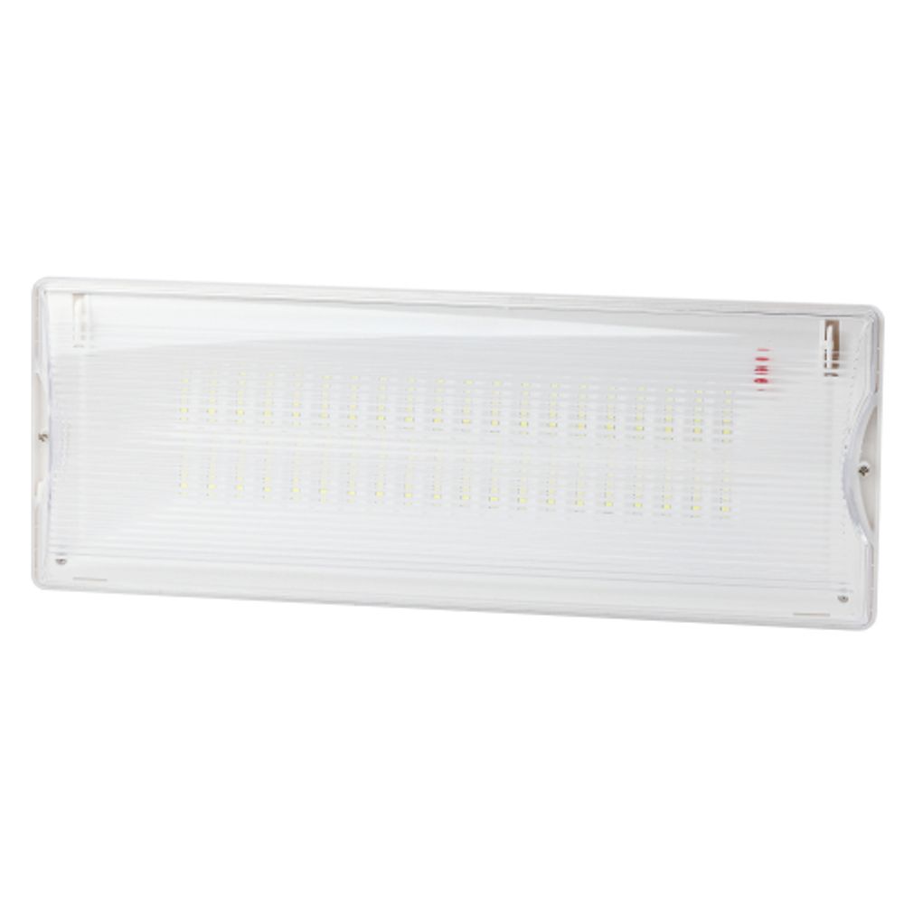Аварийный светильник светодиодный ЭРА DPA-301-0-65 непостоянный 40LED 3ч IP65 | Светильники аварийные