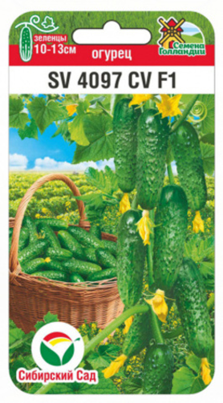 Огурец SV4097CV СибСад