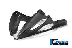 Ilmberger Carbonparts Карбоновая защита нижняя - Belly pan BMW M 1000 R / S 1000 R CG.VEU.011.S121N
