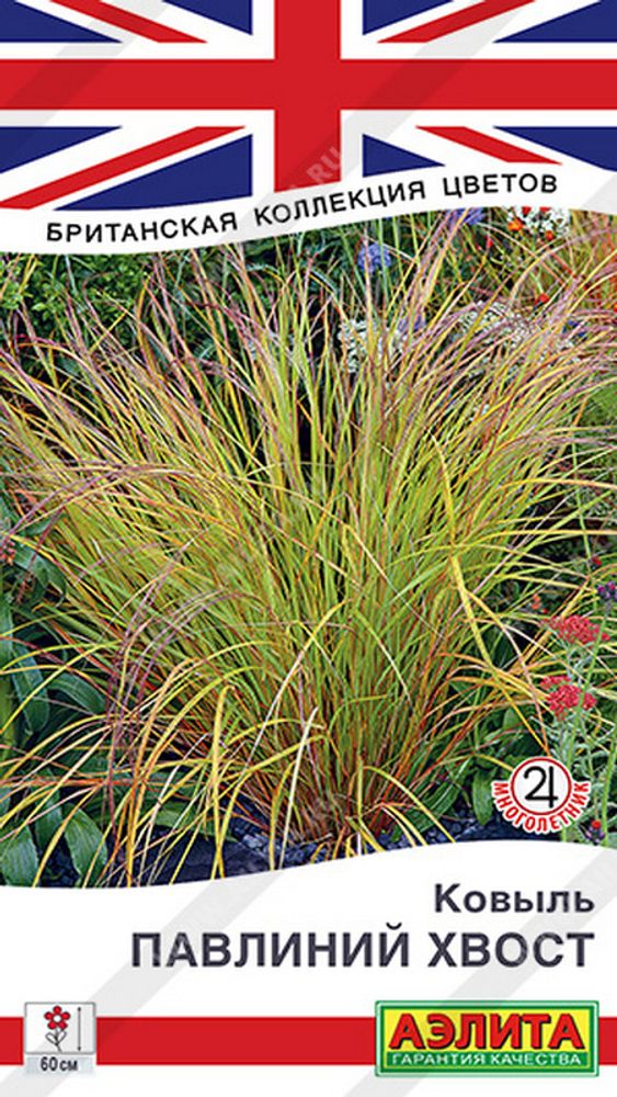 Ковыль &quot;G. Павлиний хвост&quot; 5шт., Россия.