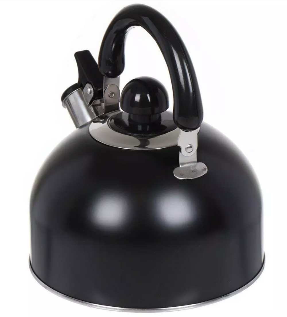 Чайник со свистком DANIKS GS-04001 для плит