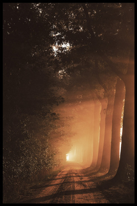 Интерьерная картина в технике цифровой печати. АРТ 057 Природа