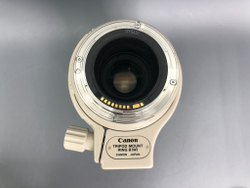 Canon EF 100-400mm 4.5-5.6L IS