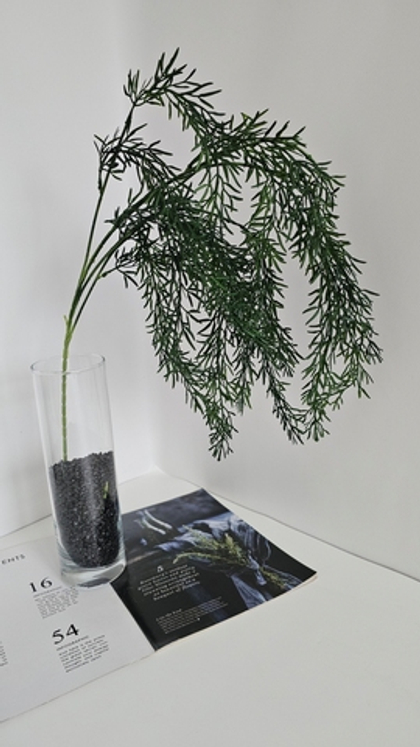 Рипсалис спадающий / Арт 4337