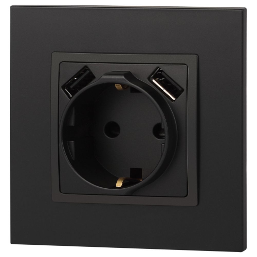 Розетка ЭРА Elegance 14-4109-05 2P+E 16A-250В штор. с 2xUSB 5В-3А антрацит