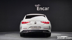 Mercedes-Benz CLS-Class C257 CLS300d AMG Line (03.2020)