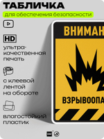 Табличка для обеспечения безопасности "Внимание взрывоопасно", для производства, предприятия, организаций, 40х30 см, Silver Plane x Айдентика Технолоджи