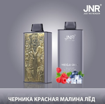 JNR Mega box Черника-красная малина-лёд 30000 затяжек 20мг (2%)