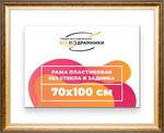 Рама 70x100 для картин и фотографий RP1361200-21
