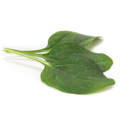 Игл F1 семена шпината (Rijk Zwaan / Райк Цваан)