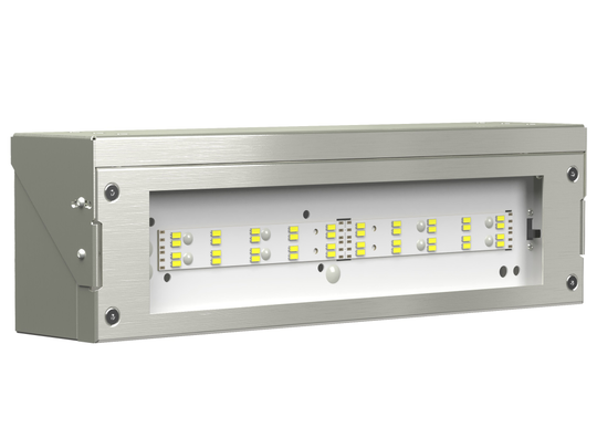 Аварийный светильник BS-DBU-10-L2-ELON Белый свет a18759