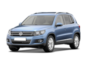 Пороги на Volkswagen Tiguan