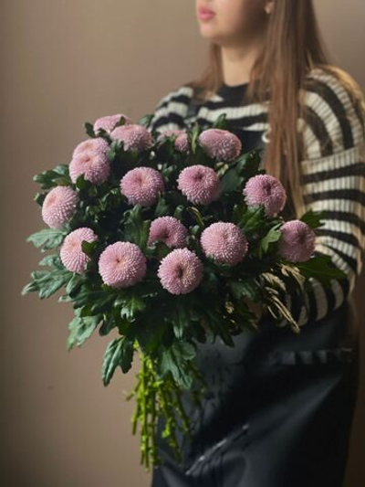 Хризантема "Момоко" (Сиреневая)