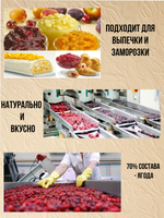 Наполнитель Фруктовый термостабильный Брусника. 500 гр.