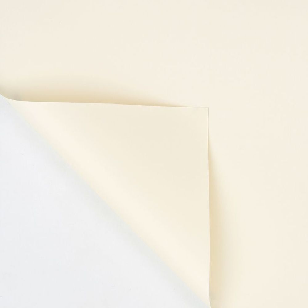 ЛИСТ 58*58/20шт ШАМПАНЬ