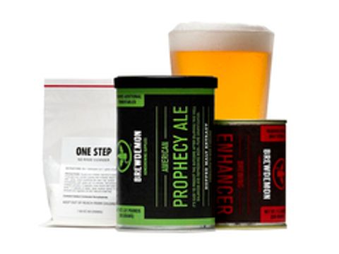 Солодовый экстракт Brewdemon Prophecy Ale Basic