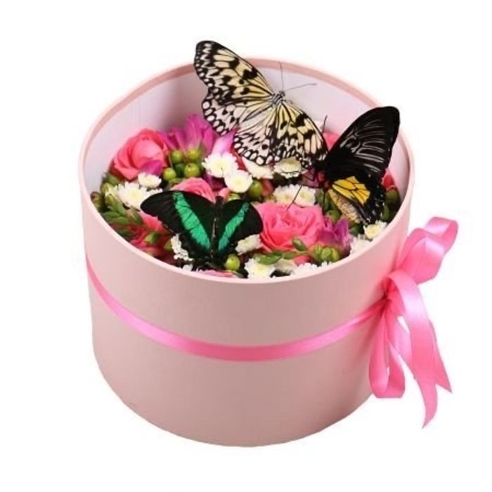 Цветы и живая бабочка в шляпной коробке #1051