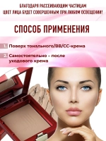 Пудра для лица Skin Recovery Shiny Powder Pact № 23