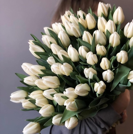 Букет из 51 тюльпана