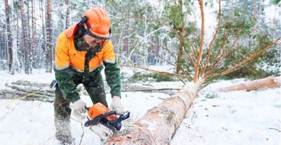 Баннер на главной 2