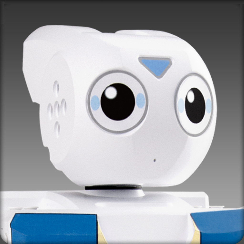 DARwIn-MINI