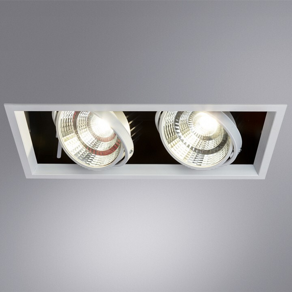 Встраиваемый светильник Arte Lamp A8450PL-2WH