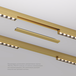 TR5736-SB Декоративная заглушка желоба трека SHINE BASE, 20см, сатинированная латунь, алюминий