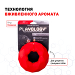 playology жевательное кольцо-многогранник CHANNEL CHEW RING для собак средних и крупных пород с ароматом говядины