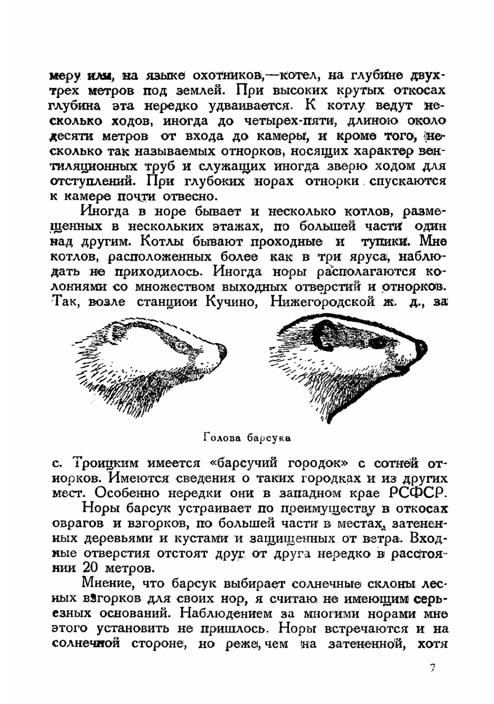 Охота на барсука | Каверзнев Валерий Николаевич