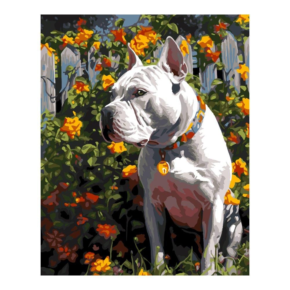 Картина по номерам 40*50см "Защитник" (на подрам.) (Lori)