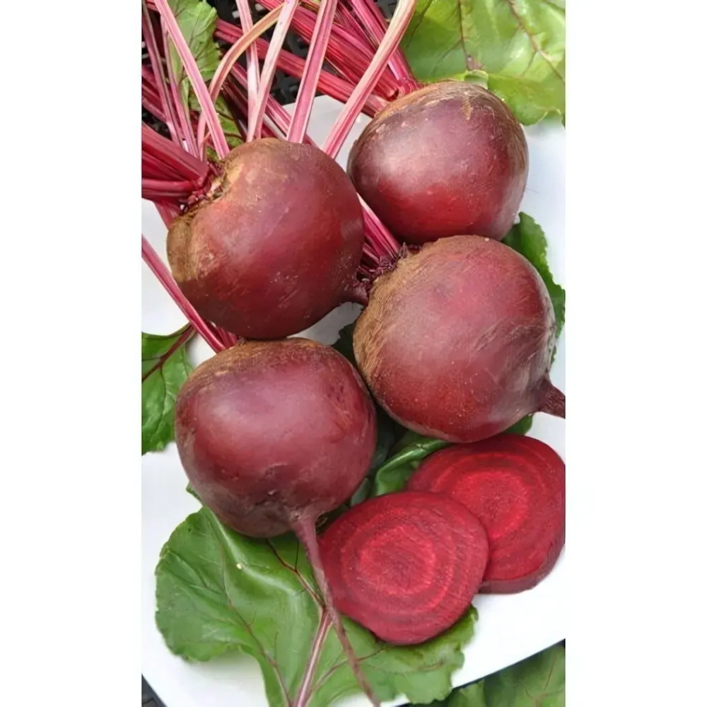 Семена Свекла Браво (УД) Е/П