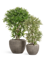 Кашпо TREEZ Effectory - серия Volcano - Чаша Design - Серо-коричневый туф